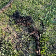 Sewer-Rodding-and-Sewer-Camera-Inspection-in-Downers-Grove-IL 2